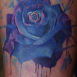 blue rose.JPG
